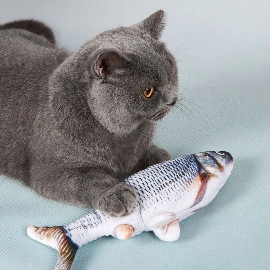 FishCat - Juguete para gatos
